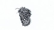 Image discrete